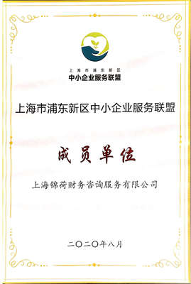 上海錦荷財(cái)務(wù)咨詢服務(wù) 專業(yè)引領(lǐng)，助您穩(wěn)健前行